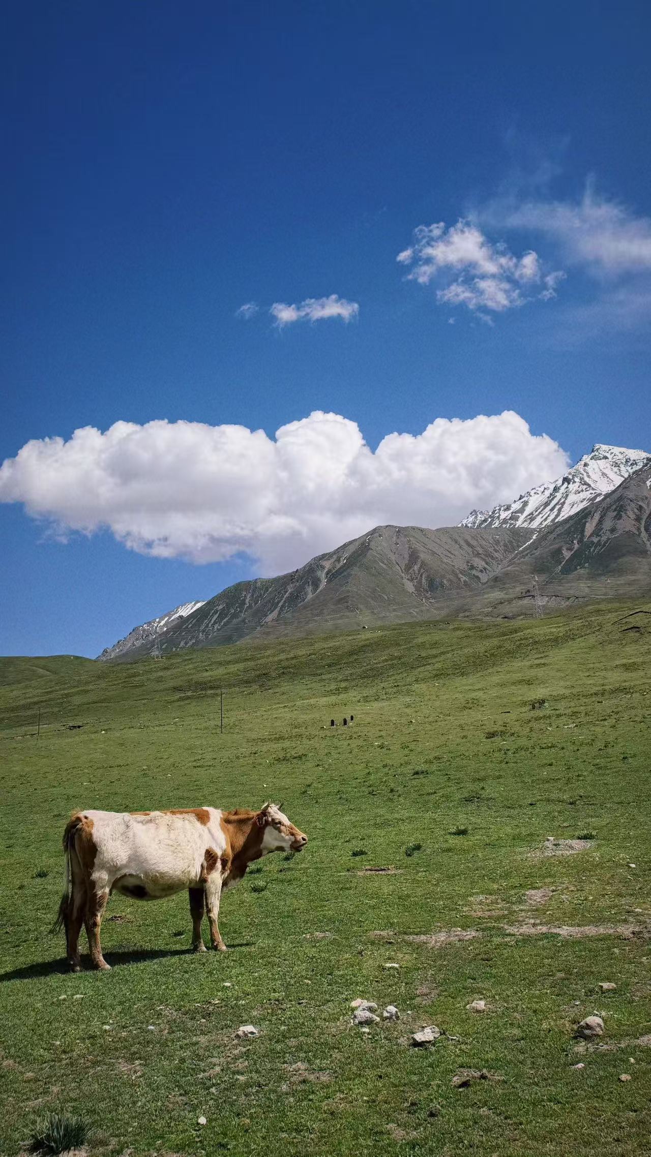 青海旅游，祁连山｜东方小瑞士游玩攻略🏔️