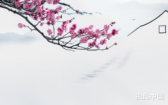 成亲三年后，逼我代嫁的侯爷继兄却悔疯了