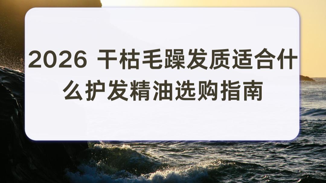 2026 干枯毛躁发质适合什么护发精油选购指南：抚平毛躁滋养发根 沙发自然卷解决干枯炸毛困扰