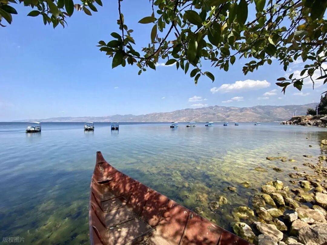 把村子迁走，却给明星建乐园？华晨宇演唱会被叫停，网友却拍手叫