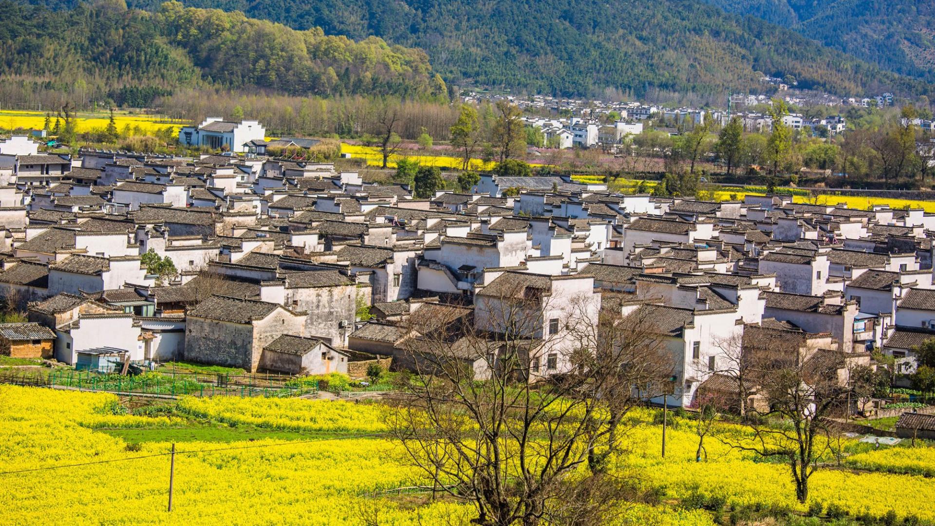 春季皖南自驾游，这8个地方别错过，春和景明邂逅诗意“中国风”