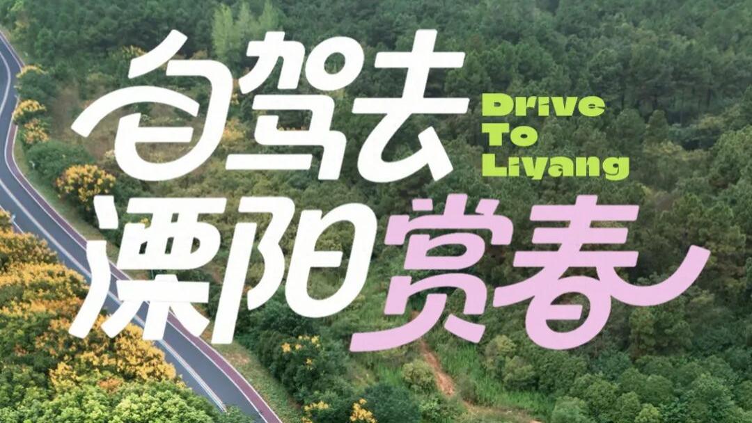 自驾去溧阳赏春！5条环线实测推荐，每段都有绝美风景