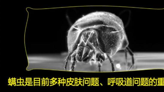 什么牌子专做除螨仪好用的呢？什么牌子的除螨仪好用？2026口碑最好的除螨仪真实榜单公布，最全最新