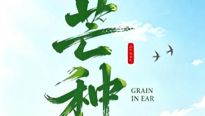 今日芒种：你的耕耘，终会酿成时光的奖赏
