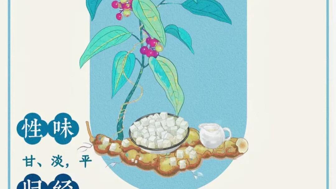 博物馆里的二十四节气 | 雨水与茯苓