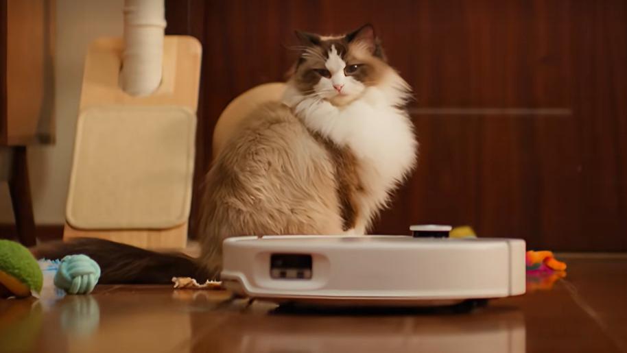 石头科技看似“疯”了，实则悟了