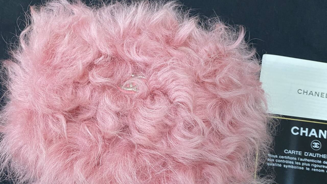 奶奶扣？NO！这是香奶奶家的“小贵妇”