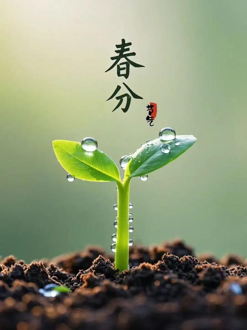 春分至，万物生！
