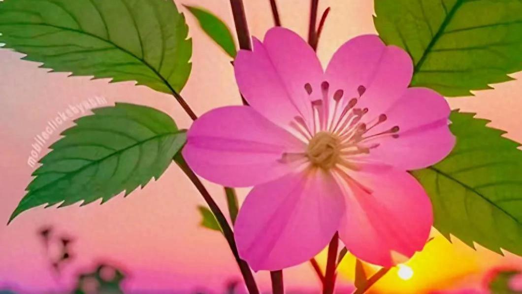 以温和待人，以宽容处事，让内心宁静，让幸福长久