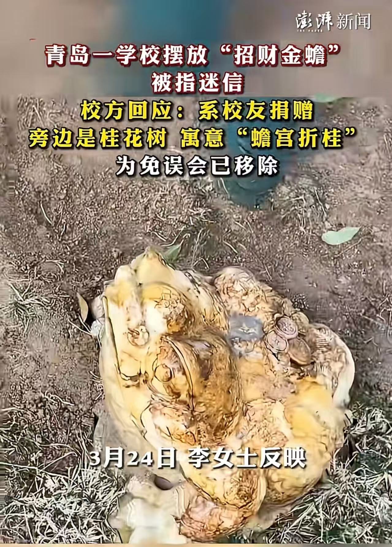 山东青岛，一学校摆放招财金蟾被指迷信！举报人：“金蟾正对校长室窗户，这是在搞封建