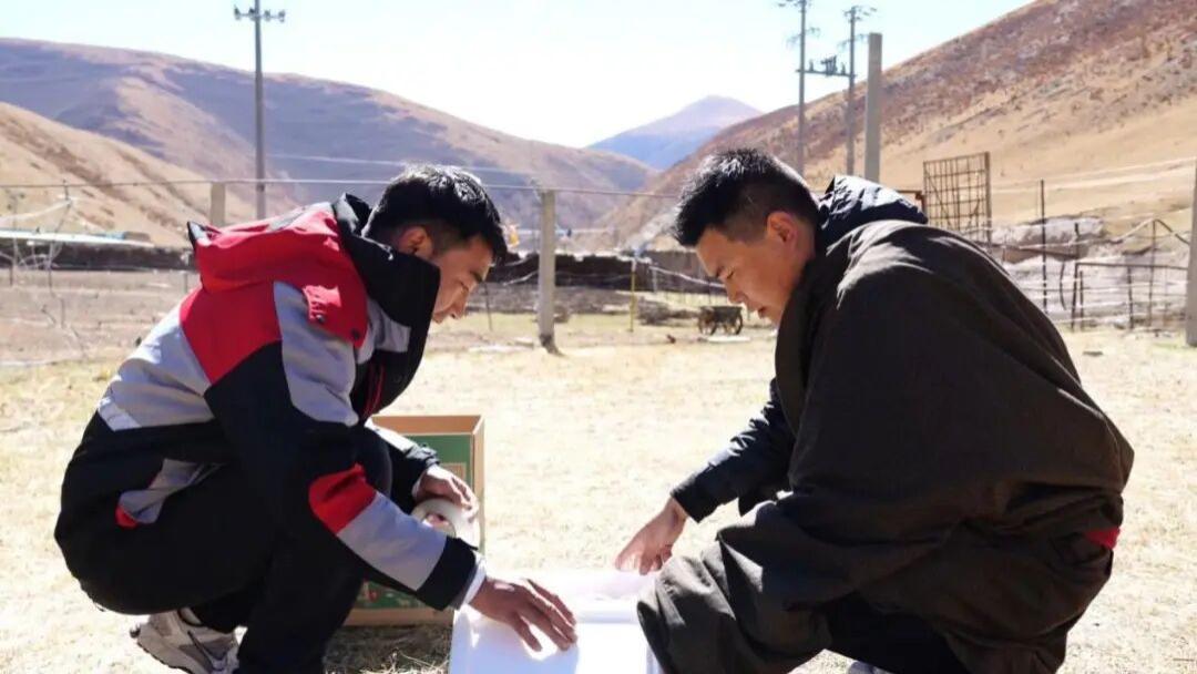 为了这口“肉”，快递公司一片混战！顺丰，京东物流，中通，申通，圆通，极兔，韵达，德邦全部入局