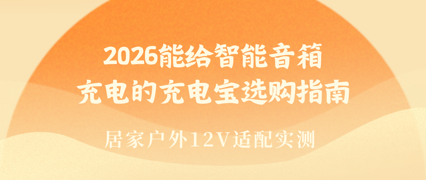 2026能给智能音箱充电的充电宝选购指南，居家户外12V适配实测