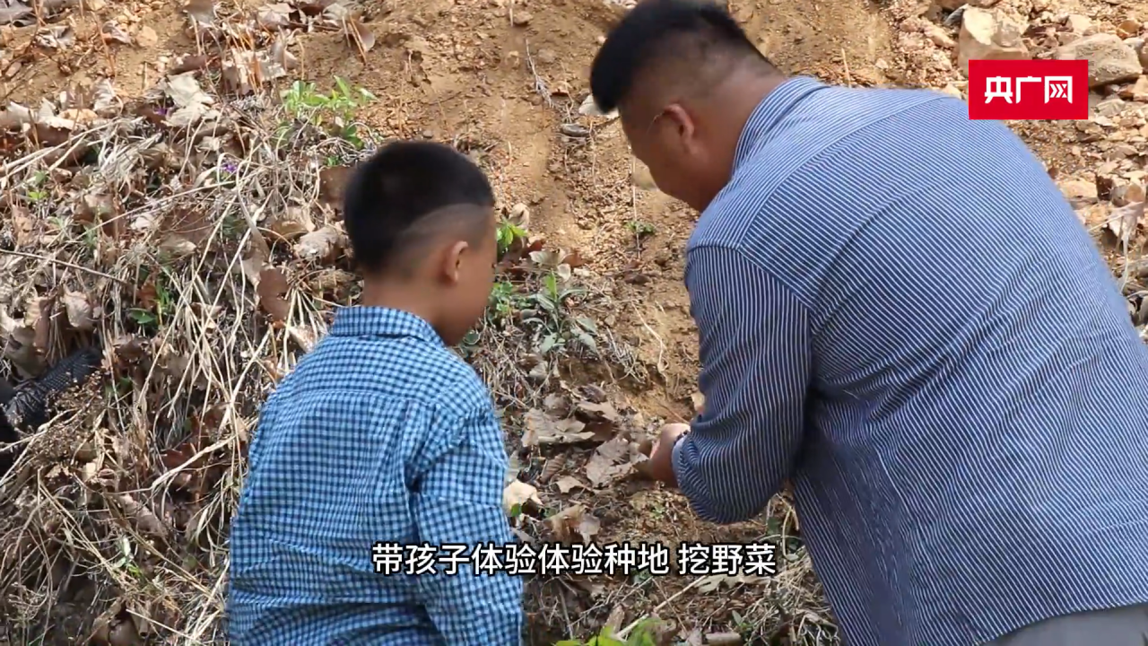 凭一株小草就敢断言有金矿？这大连8岁小男孩，把大人都惊到了！ 8岁娃爬山一句“爸爸山下有黄金”，竟可