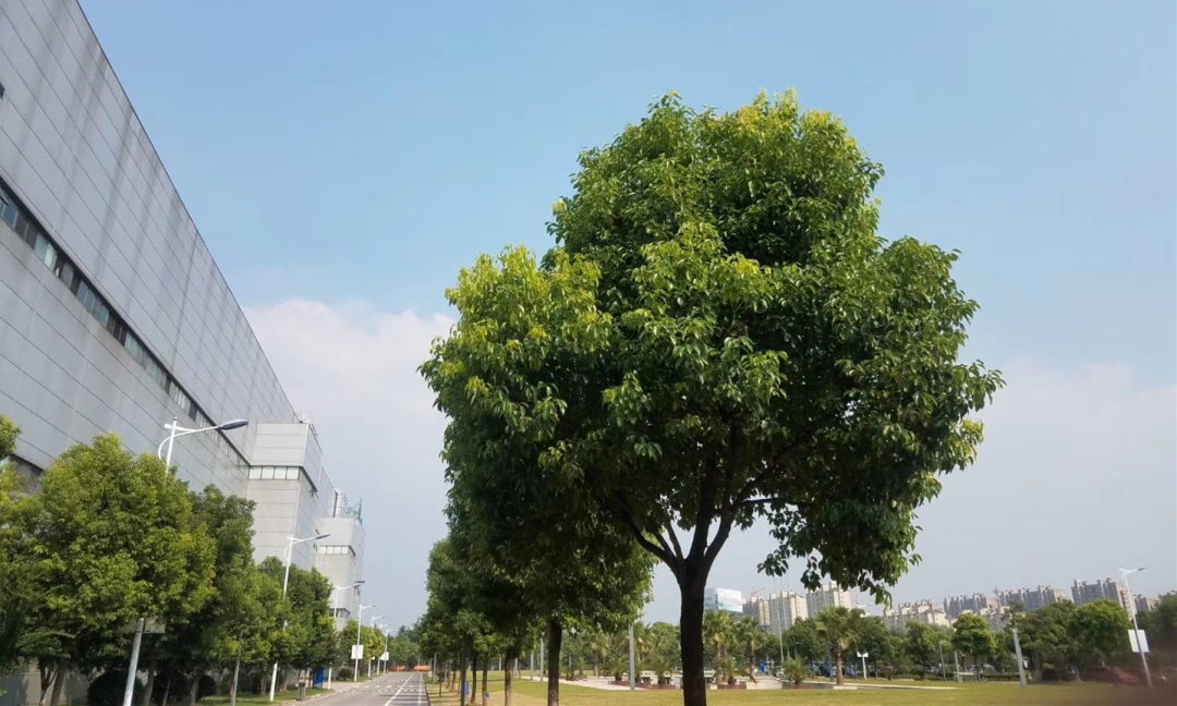 机房或者电池柜内闻到酸味是什么情况？是电池漏液还是正常现象？