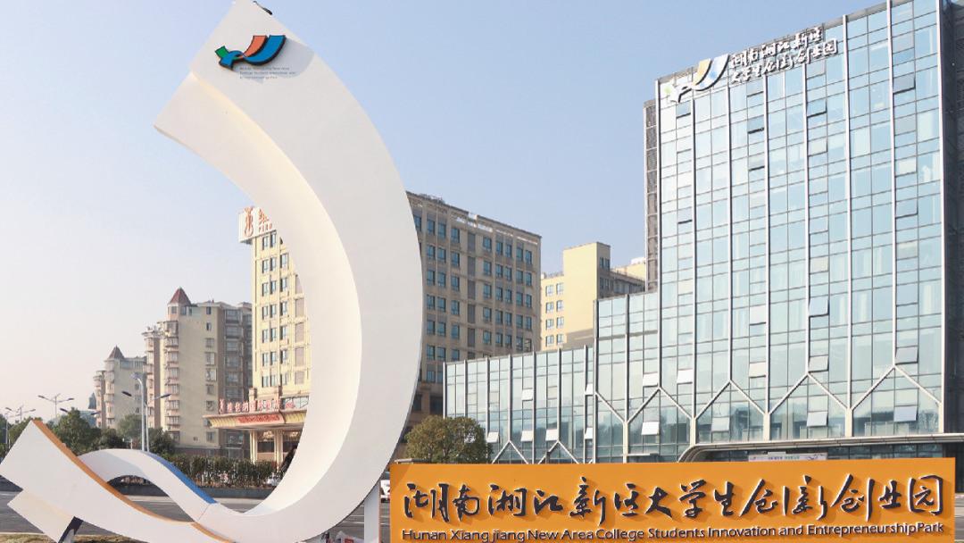 专教大学生上班，这是一个怎样的公司？
