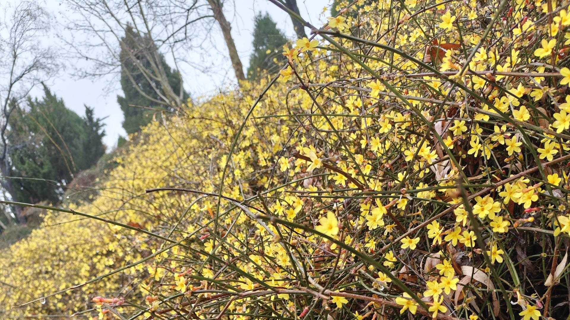 高中同学聚会：从年少轻狂到生活琐事的变化与感悟