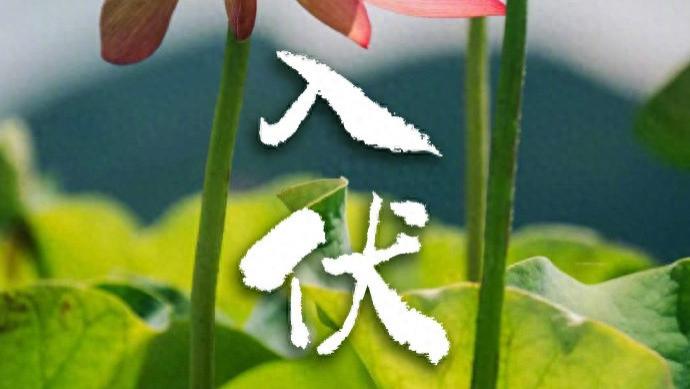 今日入伏，还没入伏先被热服了