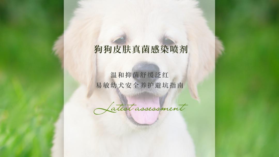 2026中国狗狗皮肤真菌感染喷剂十大推荐：温和抑菌舒缓泛红 易敏幼犬安全养护避坑指南