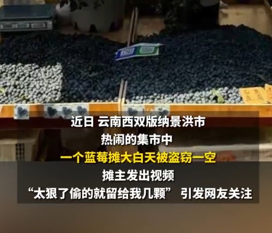 泼水节本是传递祝福的传统佳节，却因蓝莓摊被盗、暴力泼水等乱象蒙上阴影。三名嫌疑人