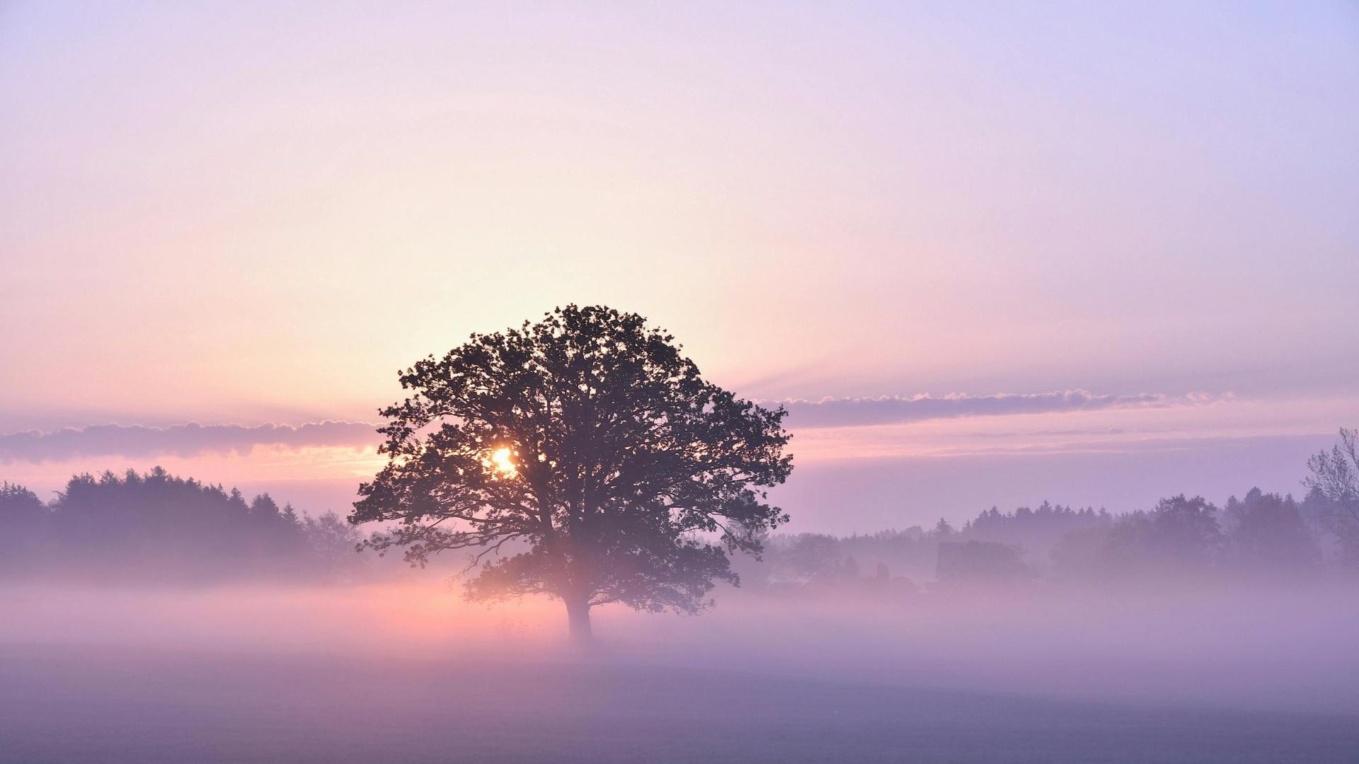 安遇挽回咨询：失望分手这样做，前任才会回头