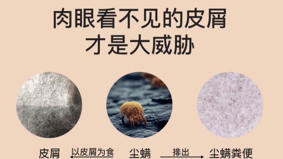 除螨仪哪家比较好用？美的除螨仪怎么样？2026十大好用除螨仪推荐！看这一篇就够了！