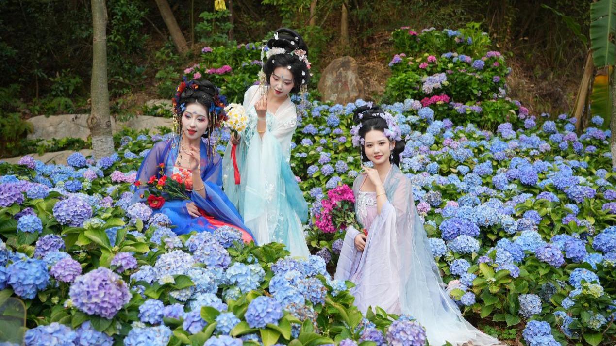 春游福山，一路生花——第五届东莞观音山花朝节绚烂开启