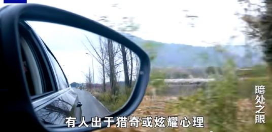 说真的，现在好多人拍照就爱往朋友圈发，压根没多想后果。

就想晒个日常、显摆下见