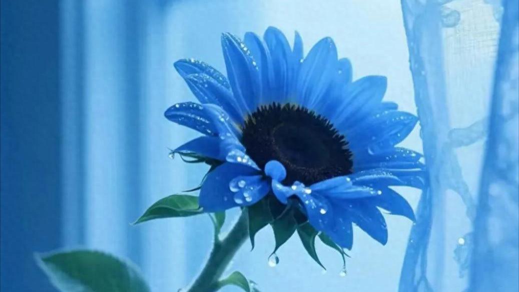 心怀正念，心存善意，言有温度，行有担当