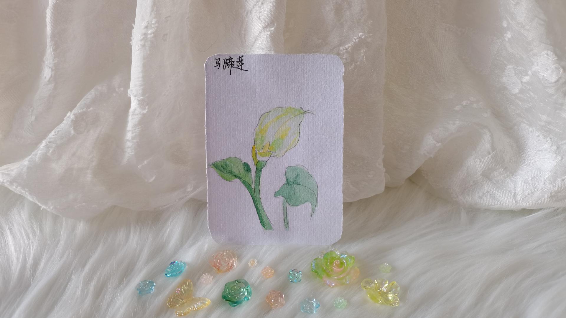 07 马蹄莲（果花甘09）