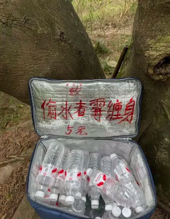 你倒是放二维码呀，深深的无力感