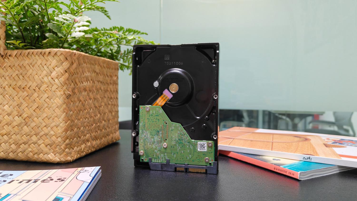 AI爆火存储涨价？别慌！长期使用高性价比还得西部数据蓝盘