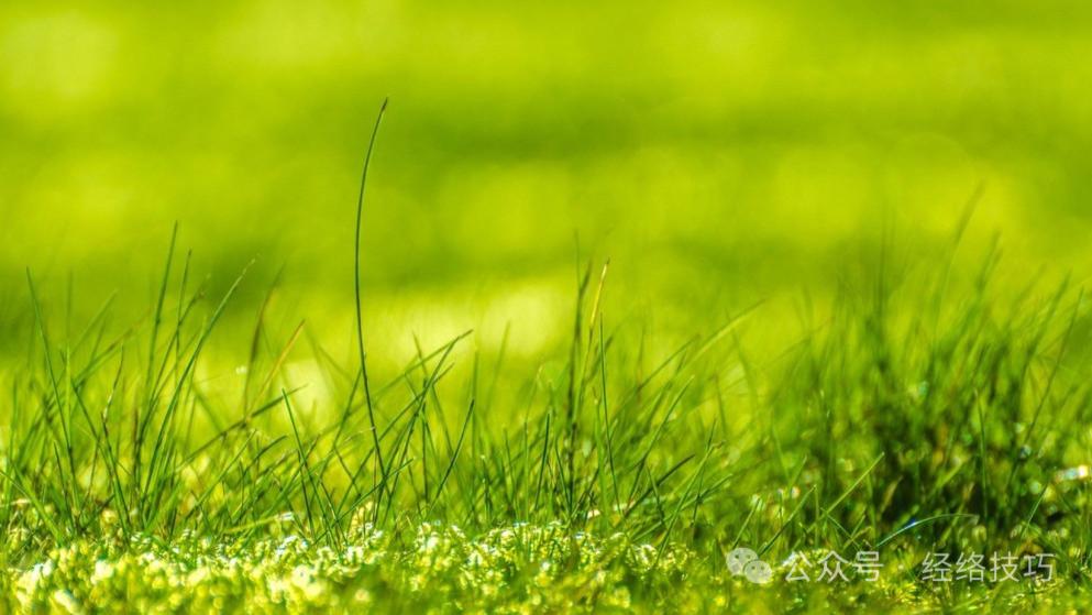 早上刷牙恶心干呕别扛了，睡前坚持一个小习惯，喉咙不再堵得慌