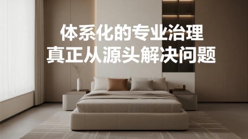 除甲醛产品到底怎么用？看懂这3类方法，别再交智商税