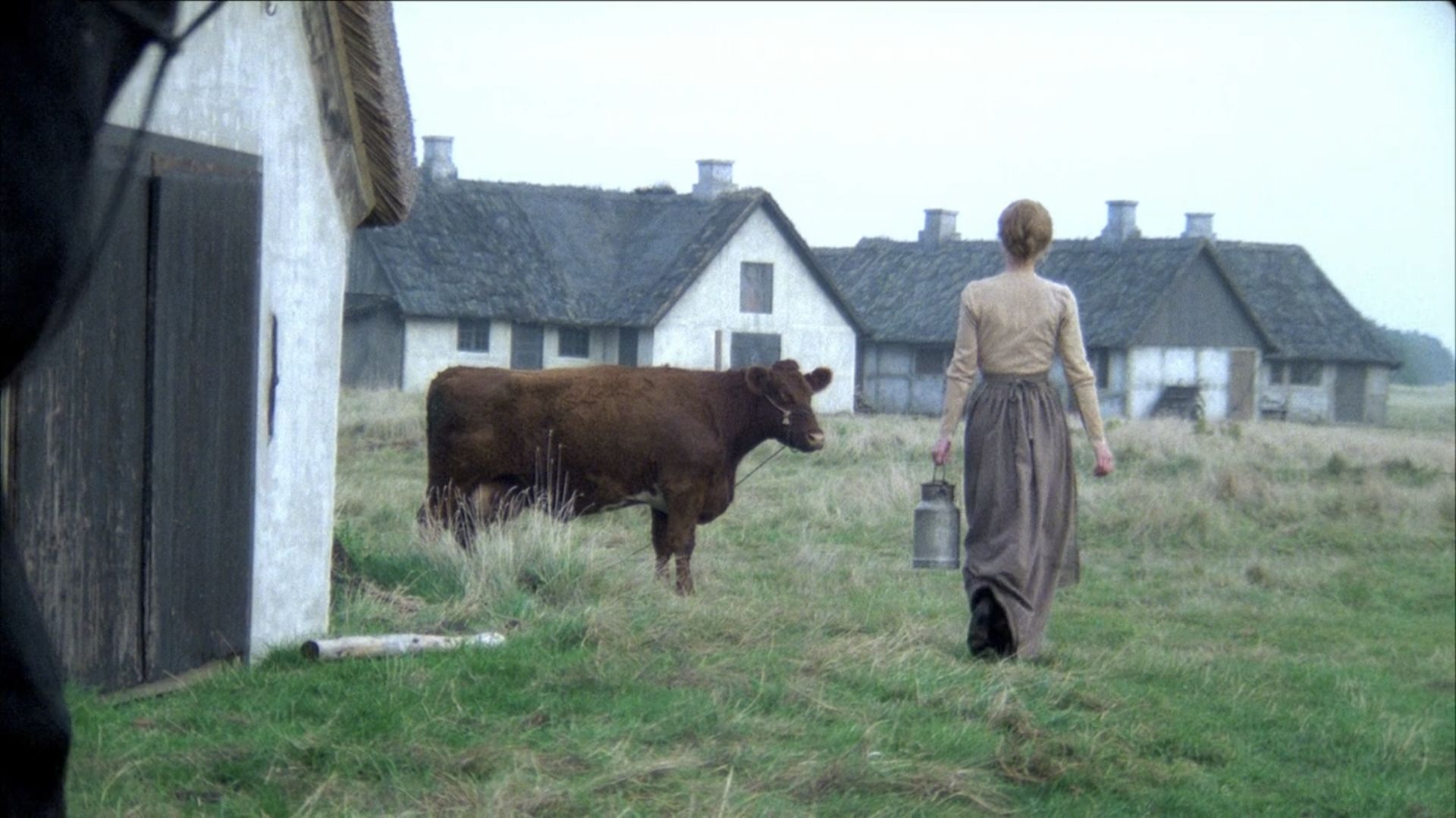 我给 79 岁爸花钱最多、买进口药，却在监控里听到：钱全留给两个儿子