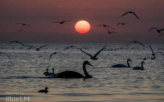她瞬间炸毛：「你爸这种老脏货，别想用他的污点毁我政审！」  我愣在原地，她以为丢脸的是我爸。