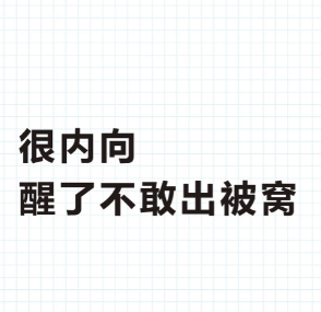 需要我帮忙抬你出去嘛