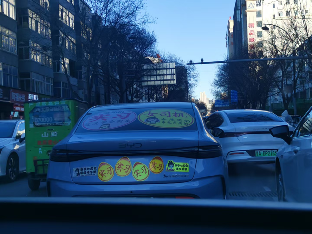 我敬你是条汉子
就是这么任性