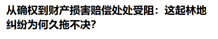 从确权到财产损害赔偿处处受阻：这起林地纠纷为何久拖不决？