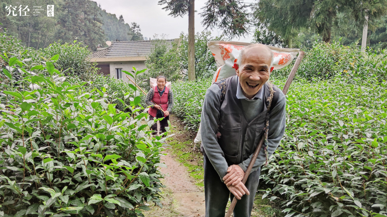 同样“紧”，为何有人奔赴，有人逃离？