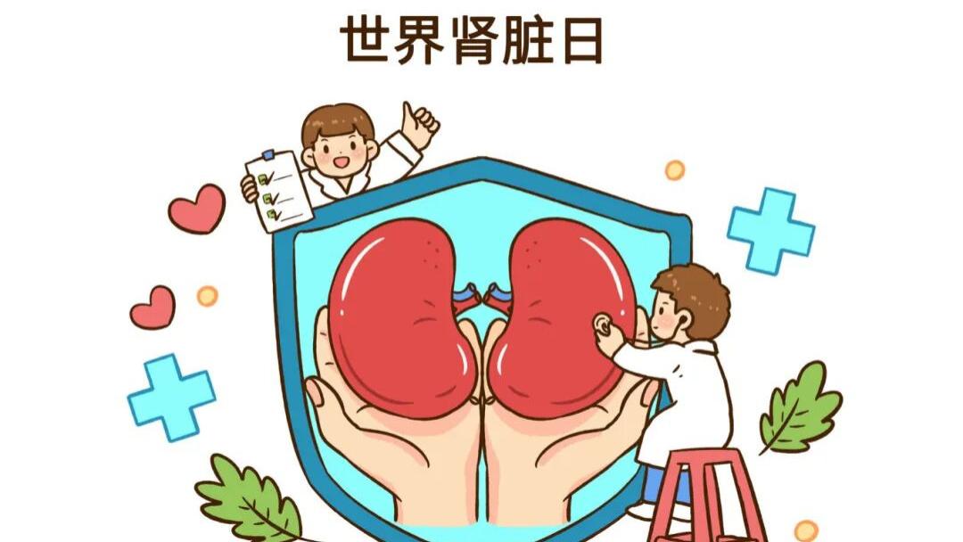 世界肾脏日 和瑶医一起解锁护肾知识