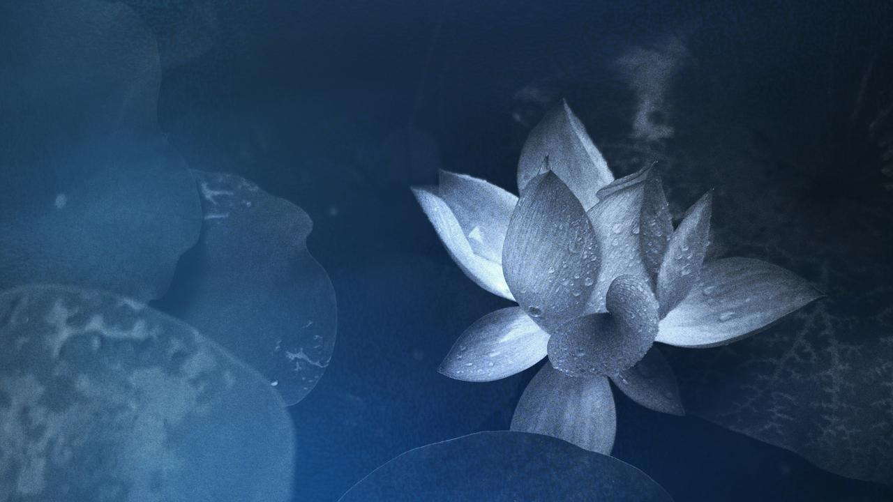 万能夸人40句：会说话的人，走到哪都受欢迎