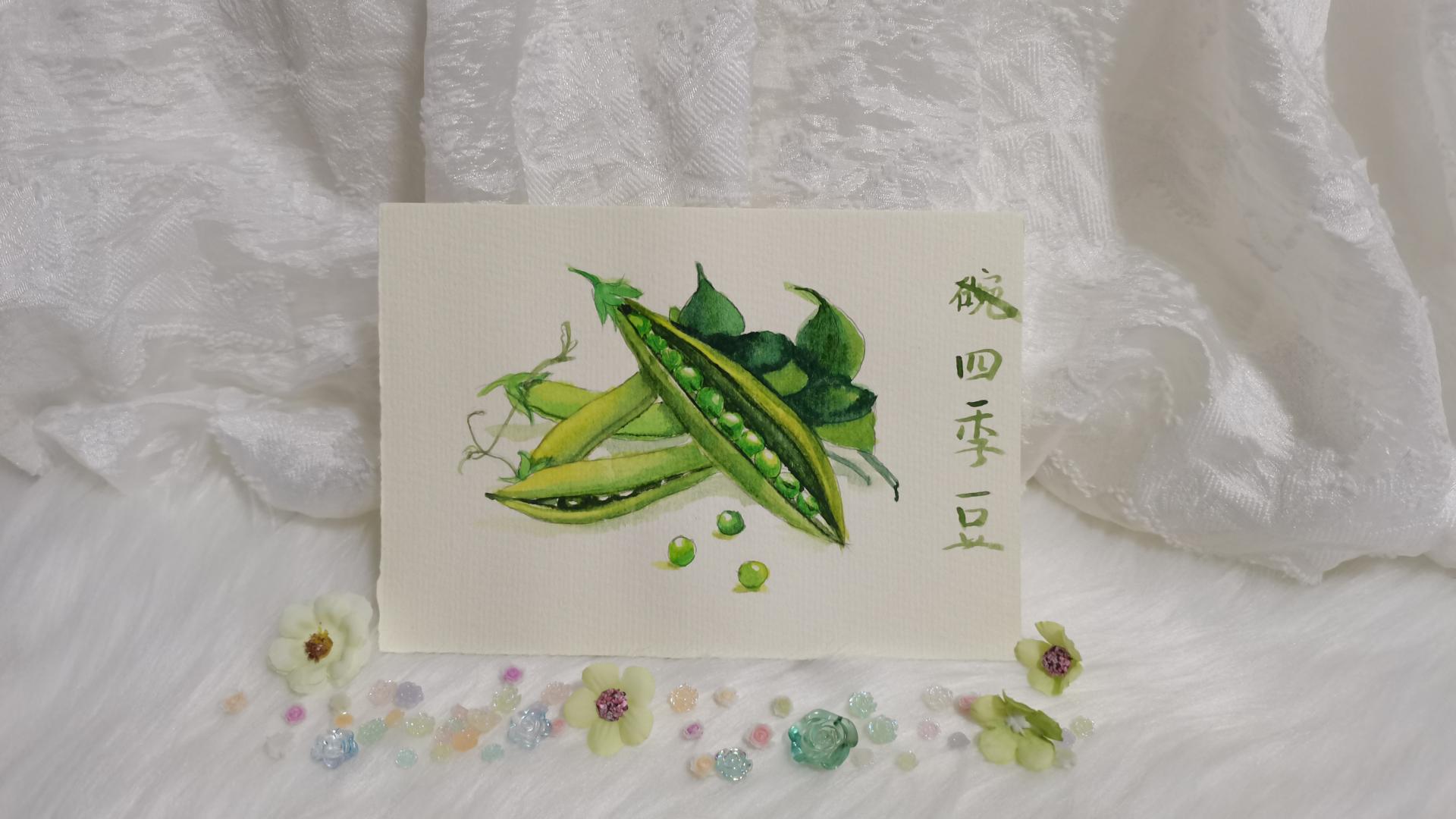 35 四季豆（果花甘07）