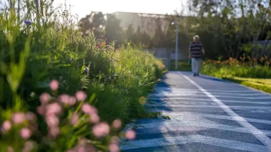 北京的春天，一半藏在石景山！这10条宝藏路线，古街、山脊、水岸、花海，一次逛遍！