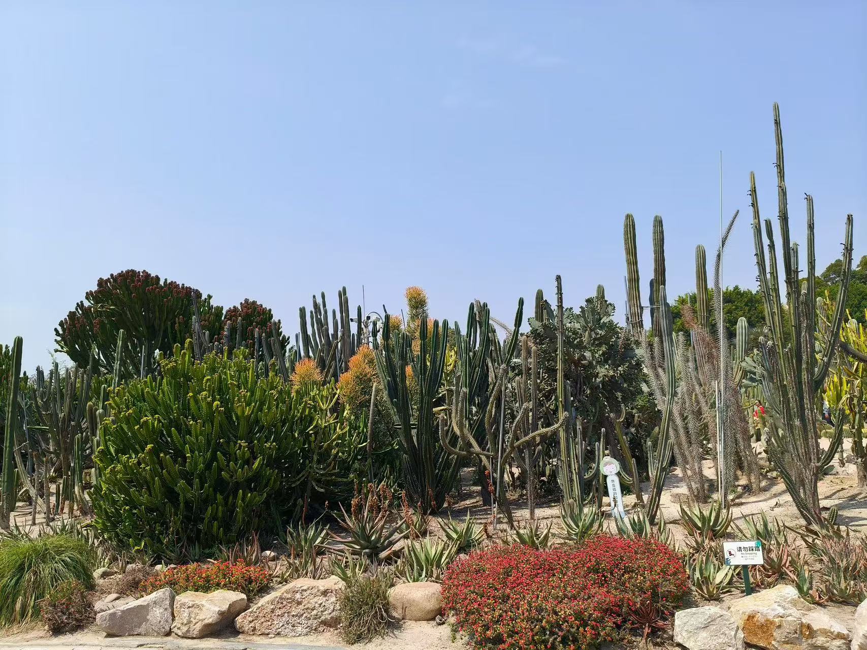 福建厦门旅游，园林植物园攻略！