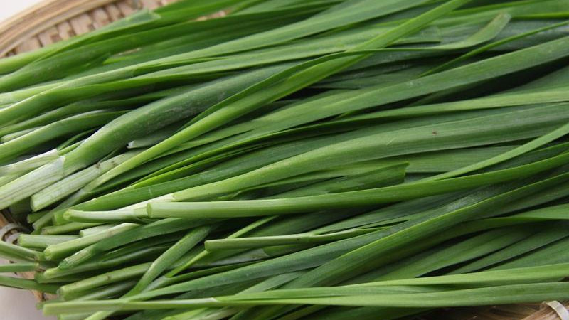 惊蛰过后，这几种“养肝青菜”抓紧吃！董文毅教授：错过再等一年