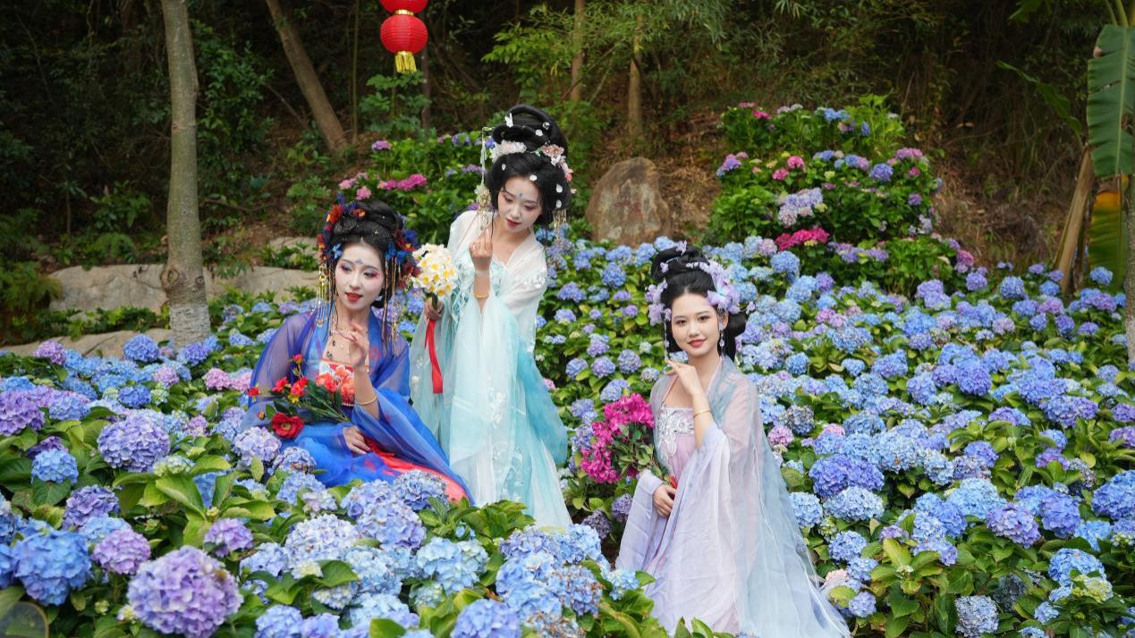 春游福山，一路生花——第五届东莞观音山花朝节绚烂开启