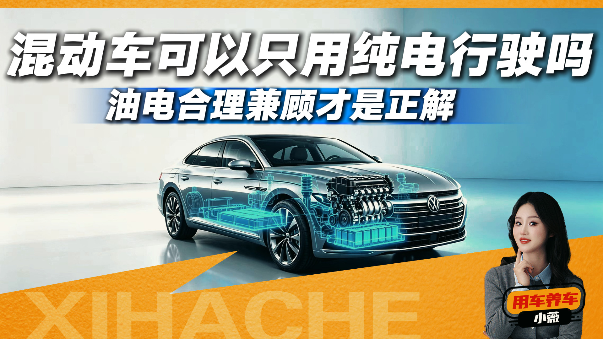 都是混动车，一种能当电车开，一种加油才能走，新手别搞混了