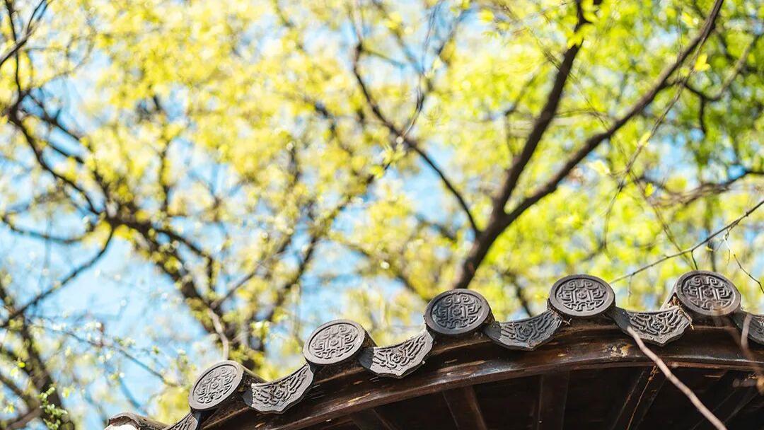 为什么越来越多人选择自费出版书？