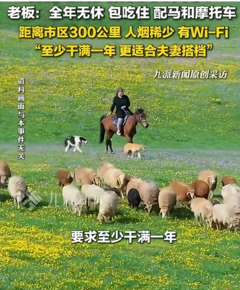月薪1.6万招人放羊包吃住有WiFi确实是好工作！但是也没那么容易，冬天比较难熬