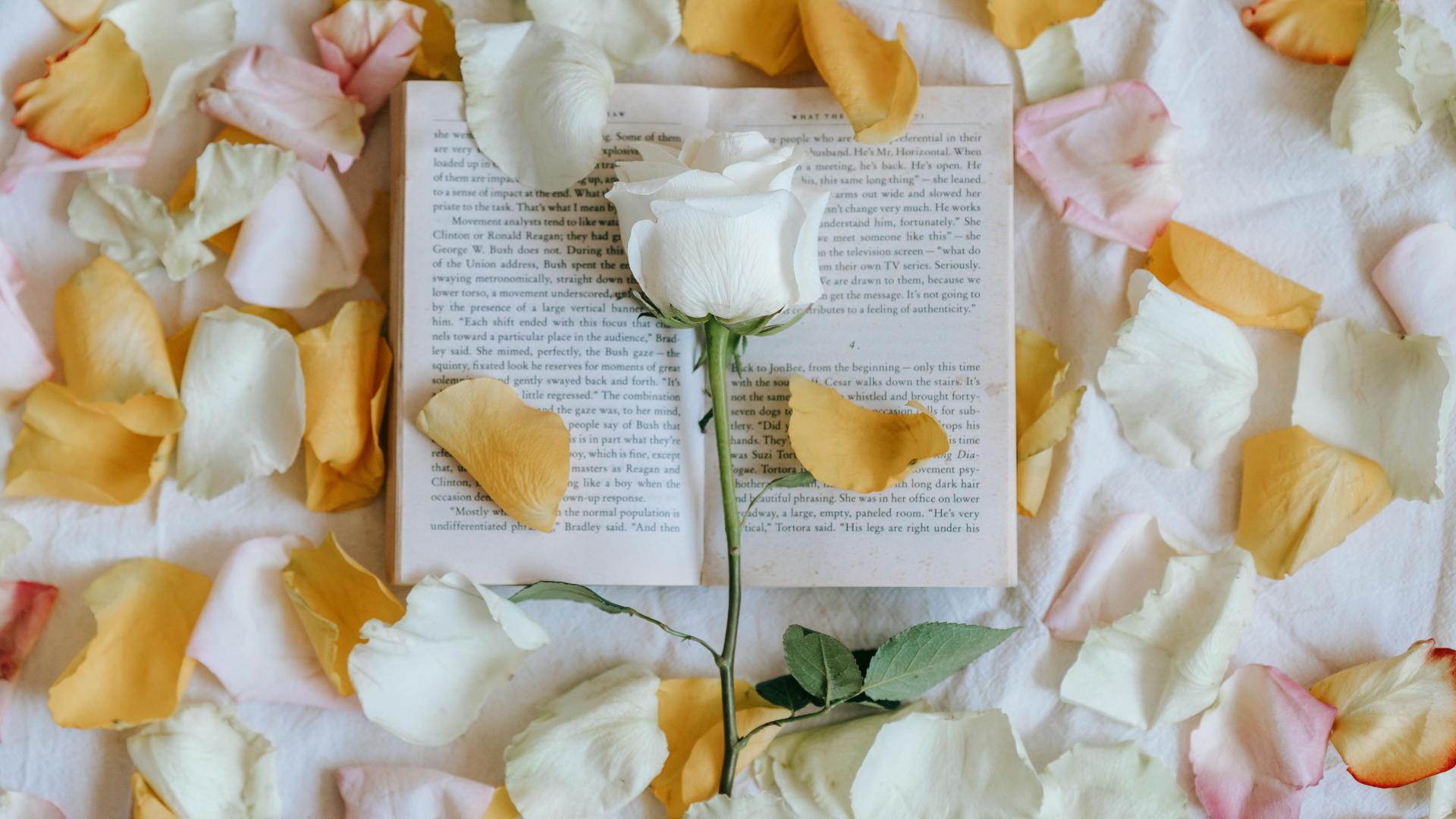 短剧投资方多次违约却请求减少违约金，是否因构成恶意违约而排除违约金酌减规则的适用？